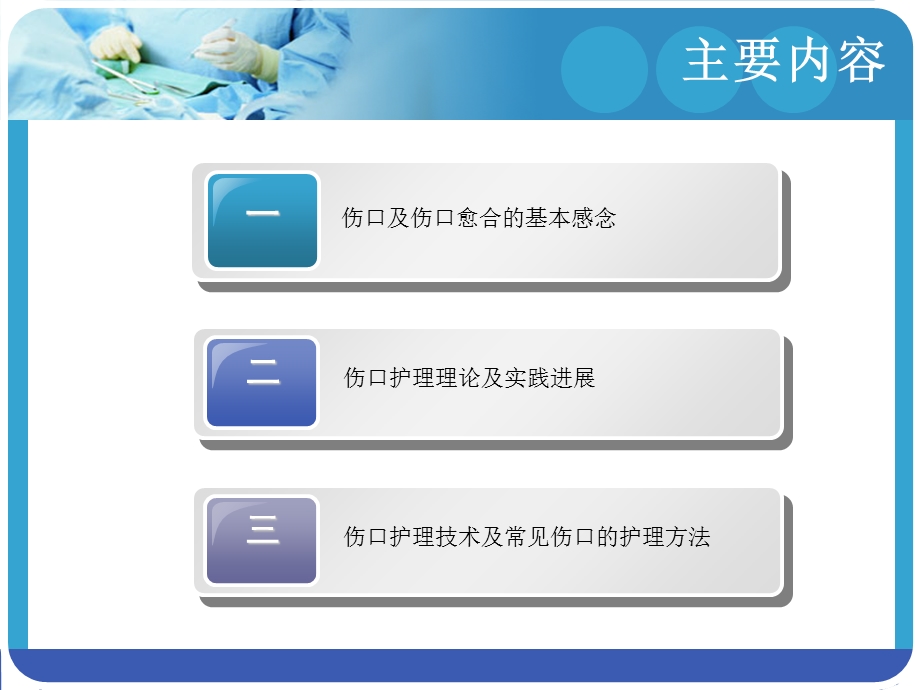 慢性伤口护理基础.ppt_第2页