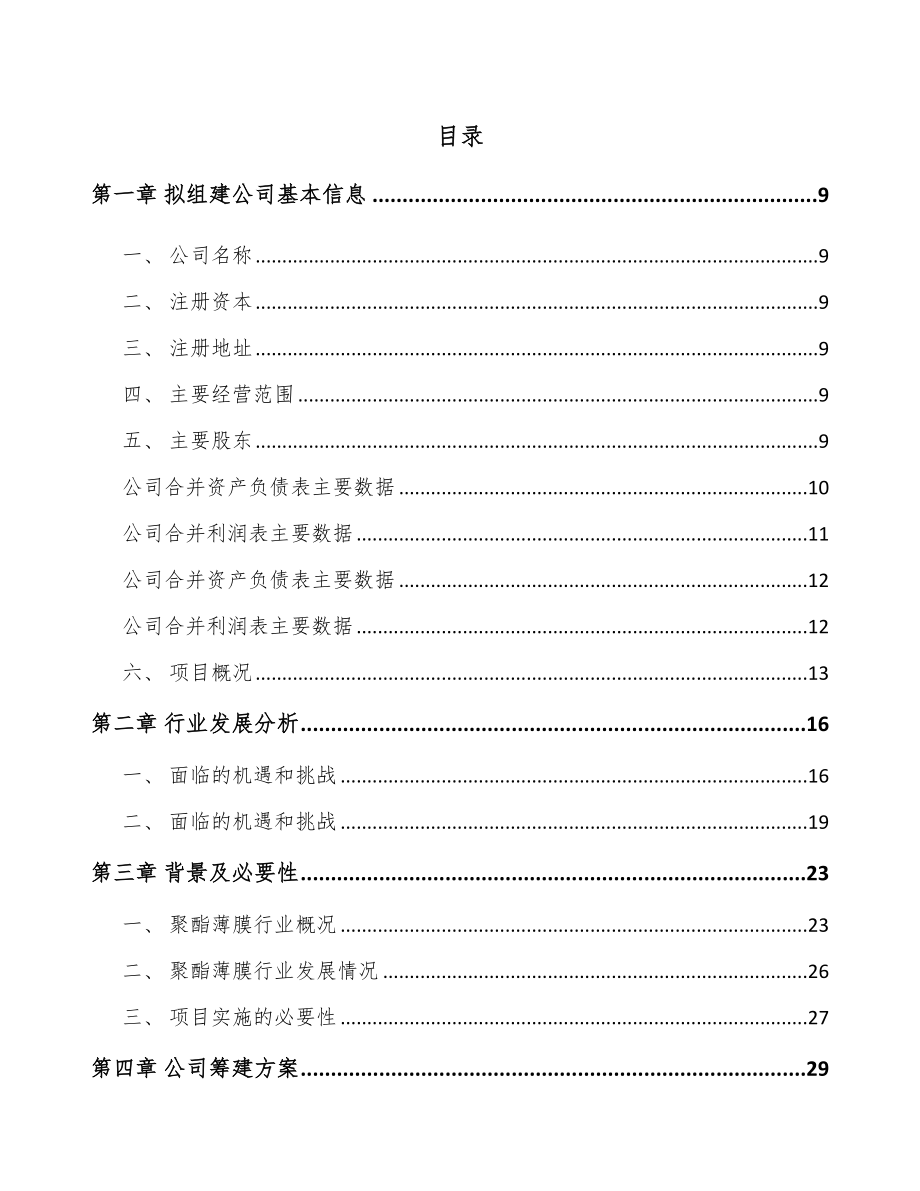 山东关于成立功能膜公司可行性研究报告.docx_第2页