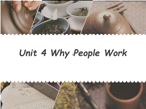 泛读教程unit4work.ppt