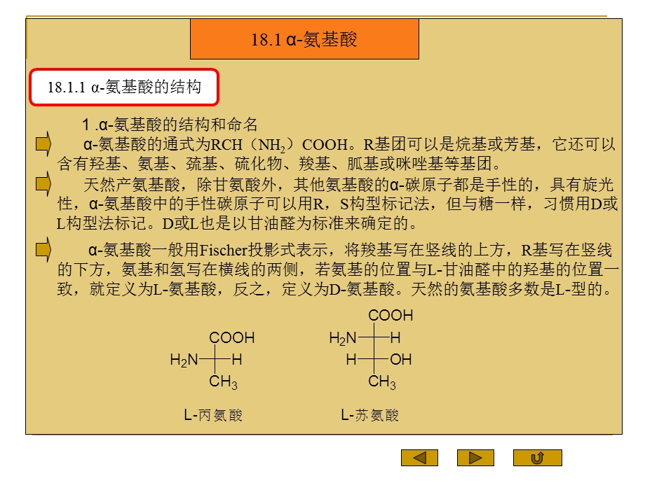 氨基酸多肽蛋白质.ppt_第2页