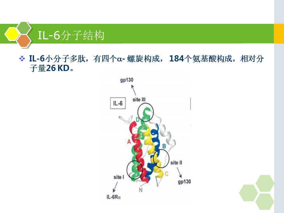 白细胞介素-6的在儿科应用的临床意义.ppt_第2页