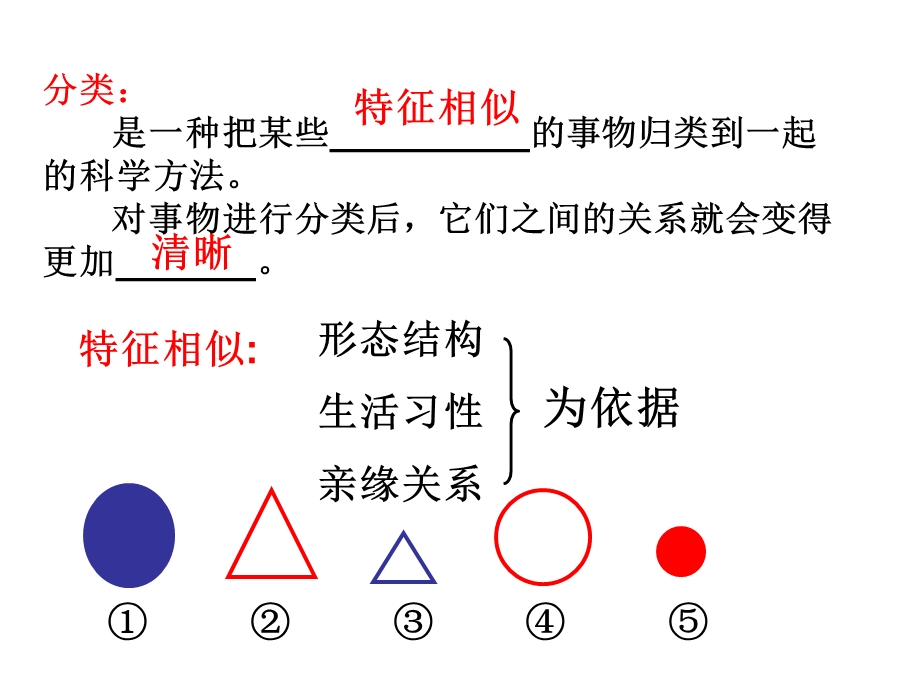 常见的动物(脊椎动物).ppt_第3页