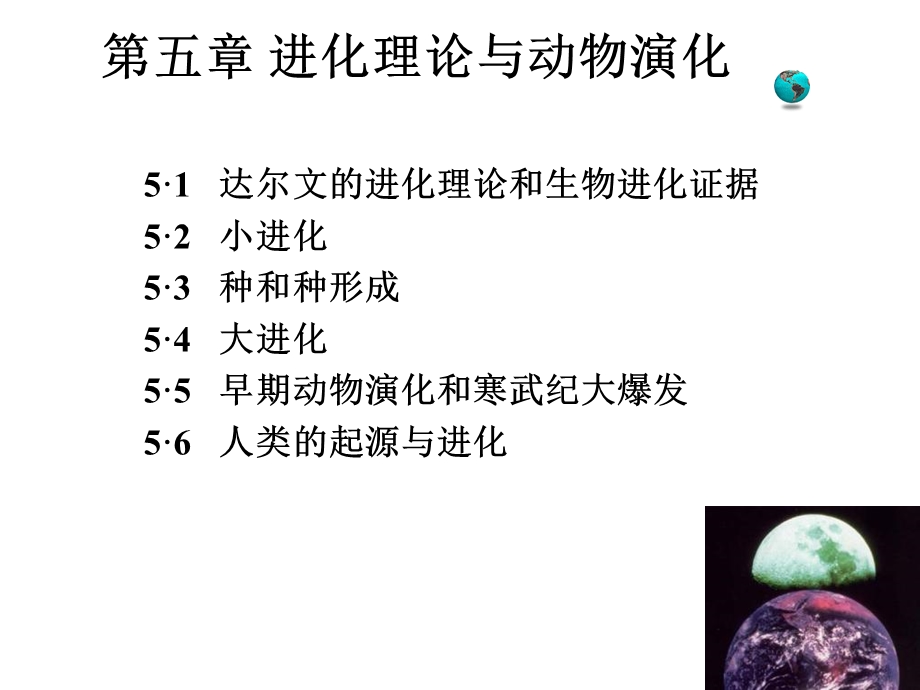 动物生物学5章动物的遗传和进化.ppt_第2页