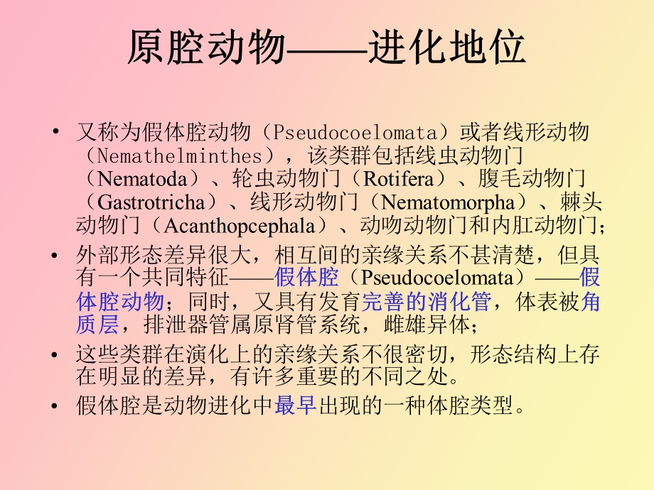 动物生物学原腔动物.ppt_第2页