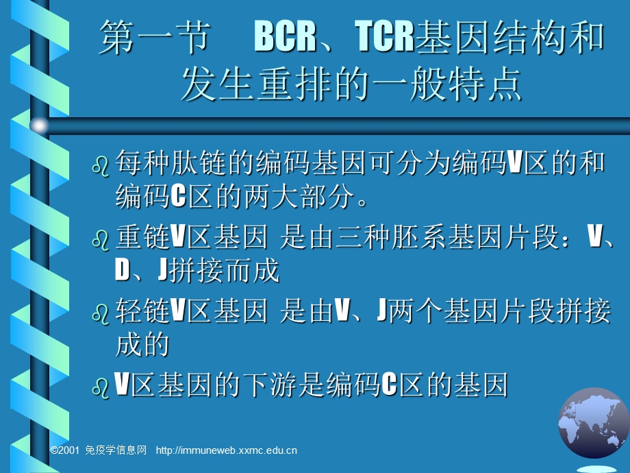 淋巴细胞抗原识别受体的编码及多样的产生.ppt_第2页