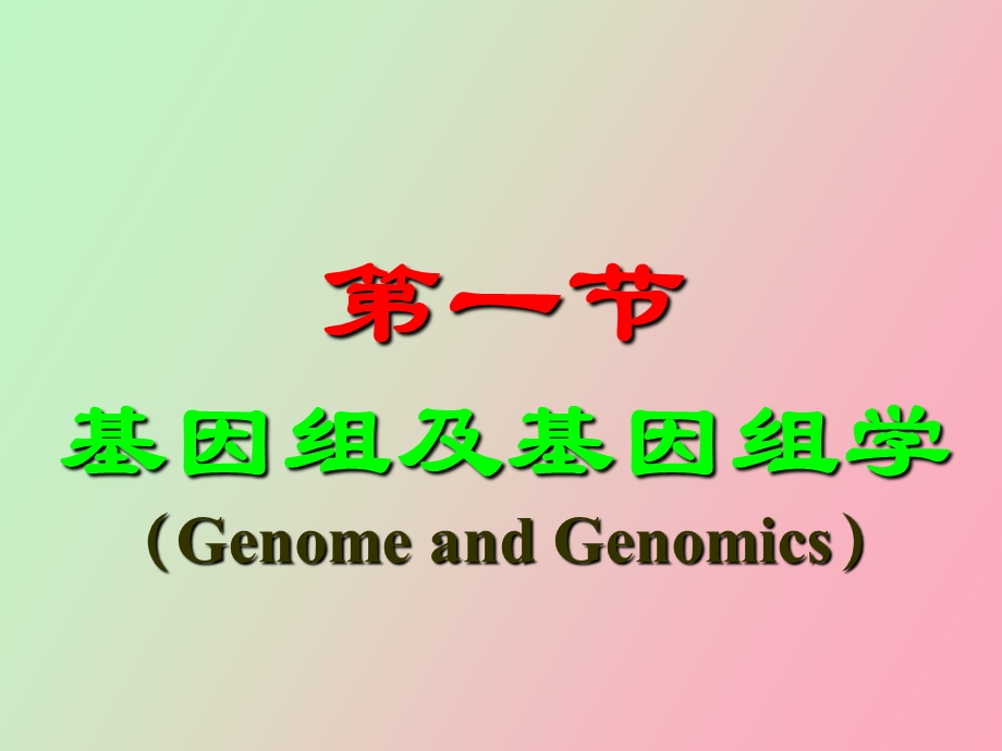 动物遗传学基因组水平的遗传.ppt_第3页