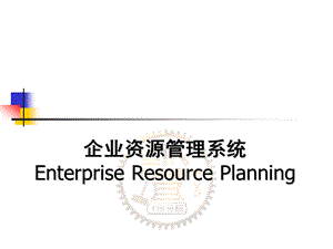 企业资源管理系统EnterpriseResourcePlanning.ppt