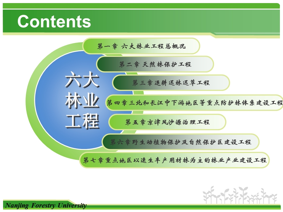 林业六大重点工程.ppt_第2页