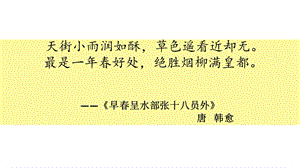 大自然的语言(获奖课件).ppt