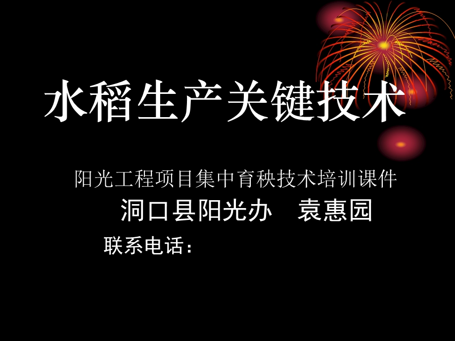 水稻集中育秧技术培训课件.ppt_第1页