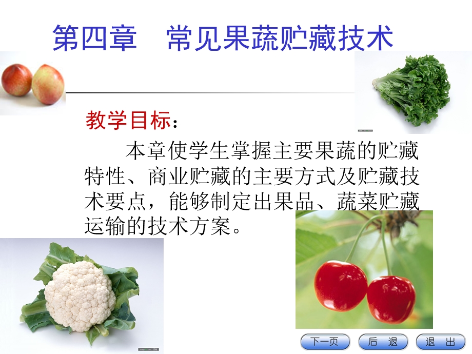 常见果蔬贮藏技术.ppt_第1页