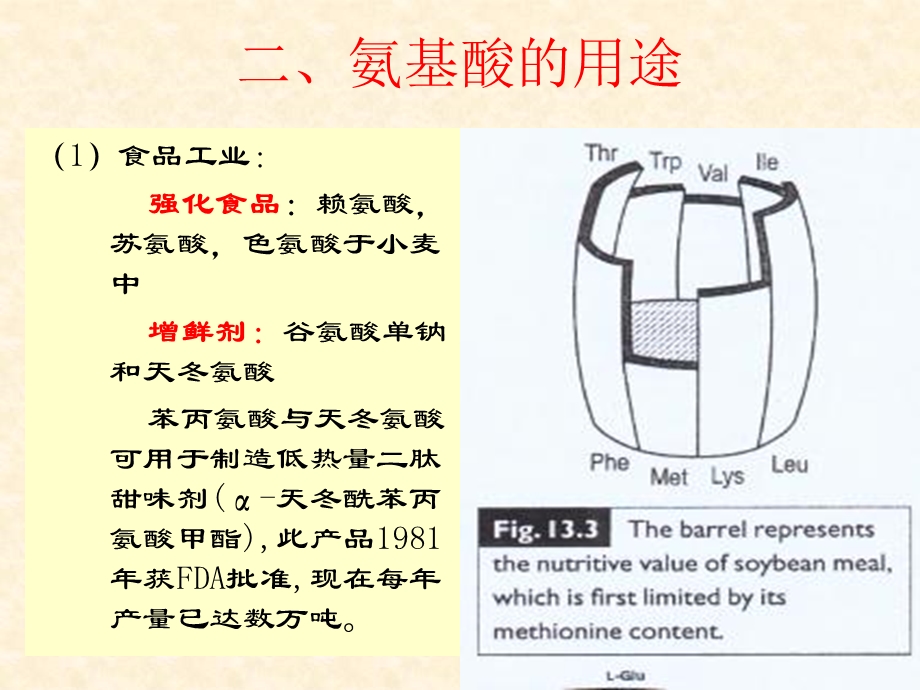 氨基酸与核酸发酵.ppt_第3页