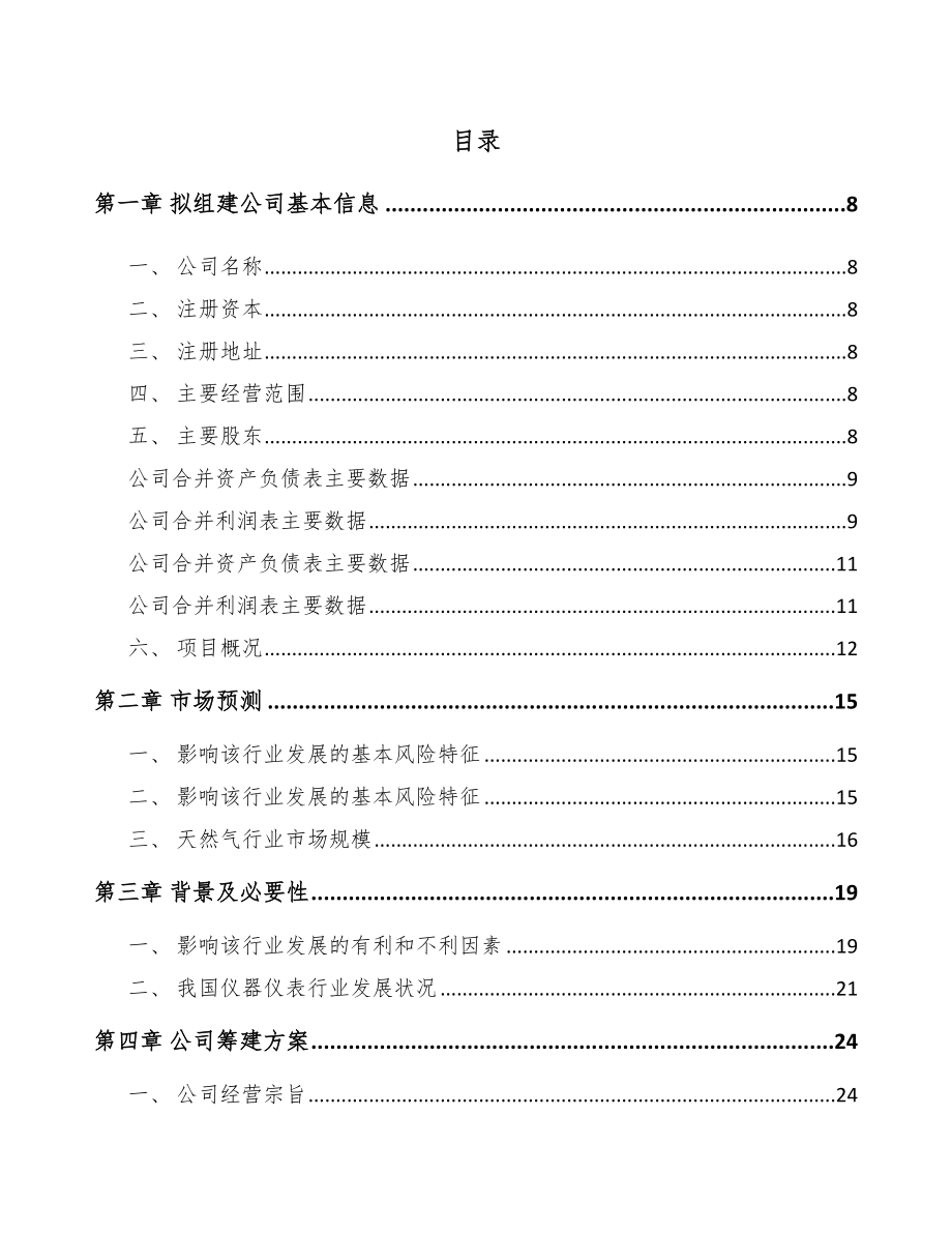 山东关于成立流量仪表公司可行性研究报告.docx_第2页