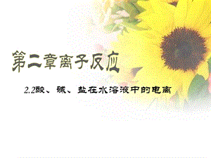 电解质离子反应好.ppt