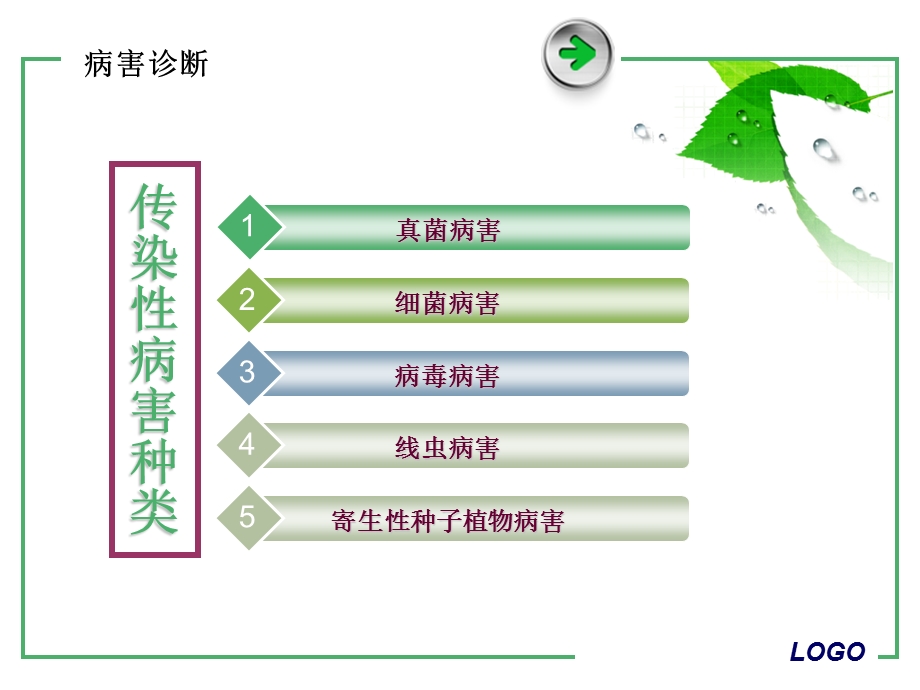 常见真菌病害的诊断.ppt_第2页