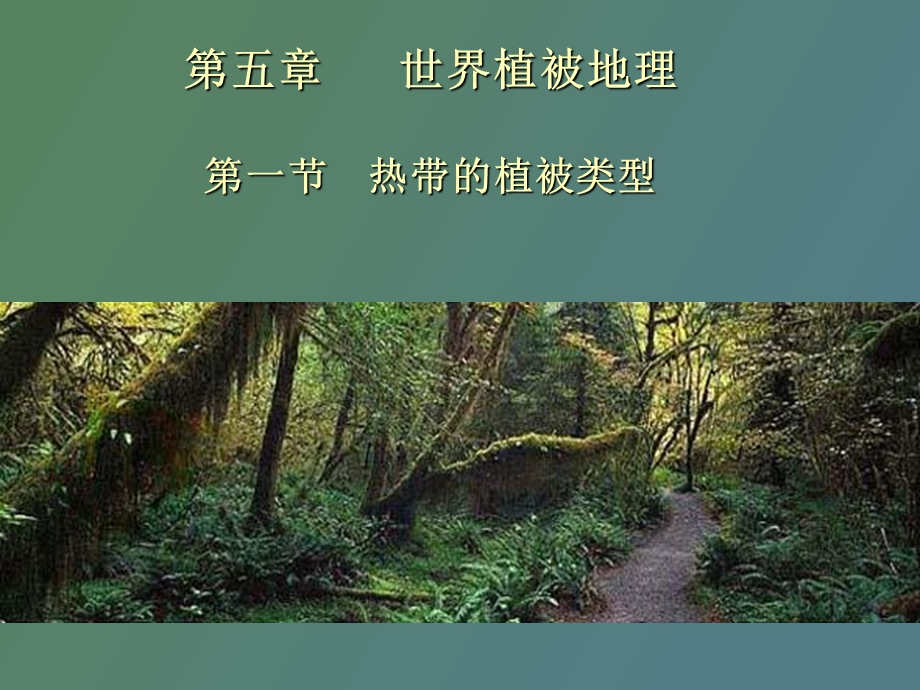 热带植被类型.ppt_第1页