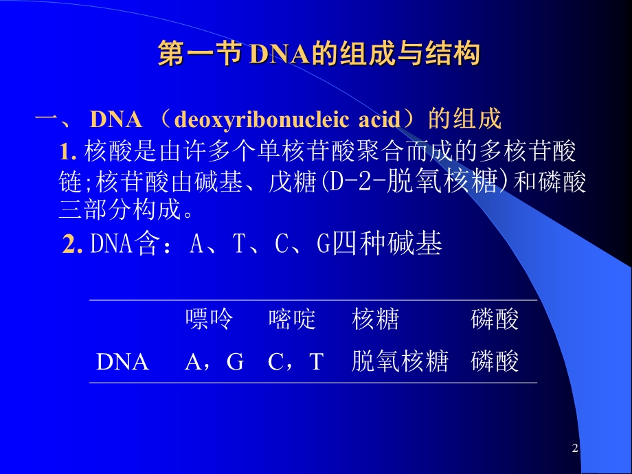 核酸的组成与结构.ppt_第2页