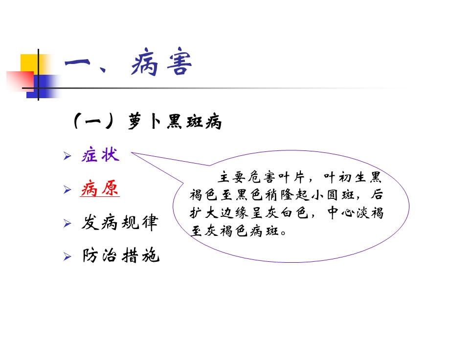 根菜类蔬菜病虫害防治.ppt_第2页