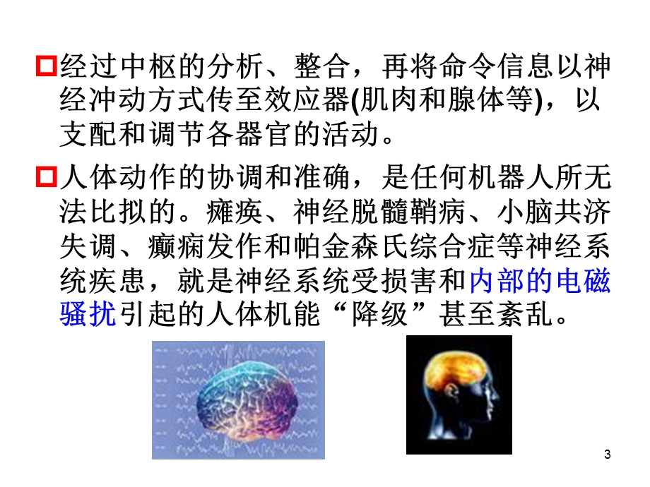 电磁兼容生物效应.ppt_第3页