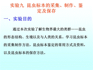 动物生物学实验9昆虫标本的采集、制作、鉴定及保存.ppt