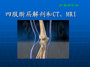 断层解剖学四肢.ppt