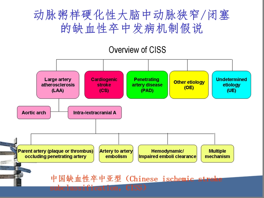 大脑中动脉狭窄的评估与治疗.ppt_第3页