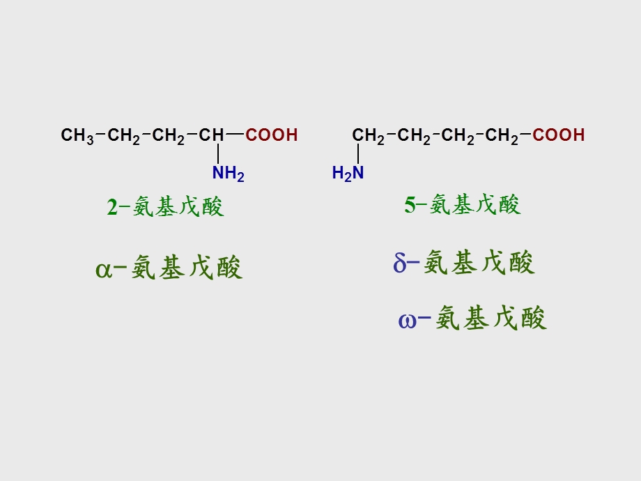 氨基酸及蛋白质新.ppt_第3页