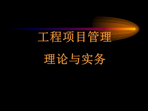 工程项目管理理论与实务(建造师培训).ppt