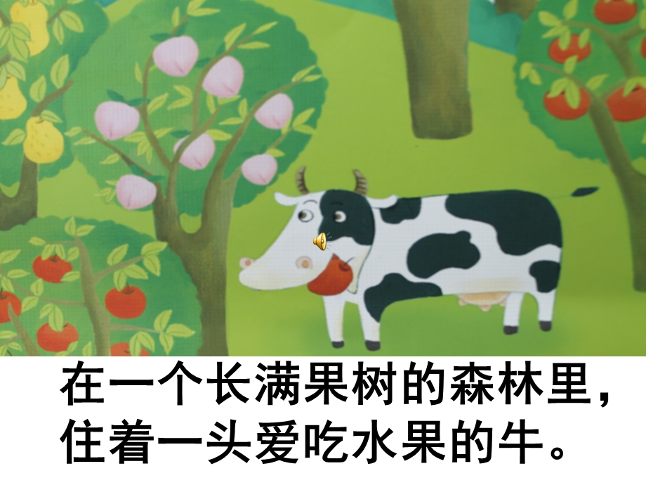 故事：爱吃水果的牛.ppt_第2页