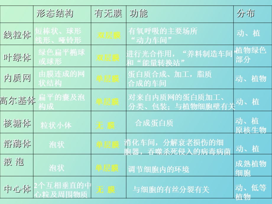 动物细胞左和植物细胞右亚显微结构模式.ppt_第2页