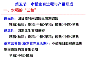 水稻生育进程与产量形成.ppt