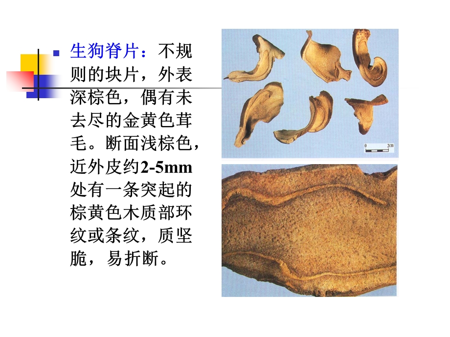 教案下篇2根及根茎类药材.ppt_第3页