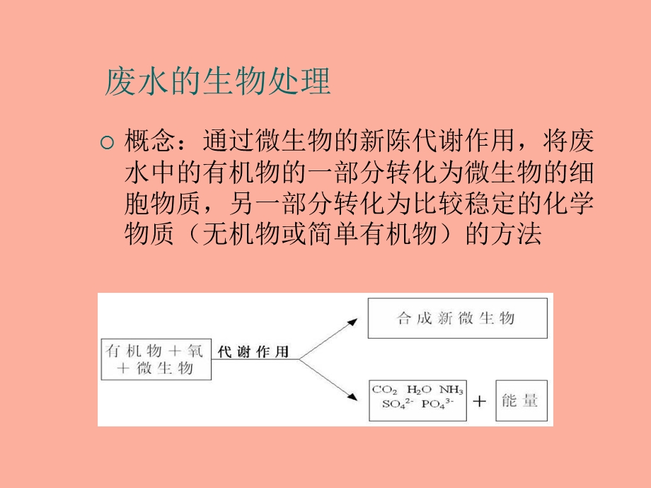 废水好氧处理.ppt_第3页