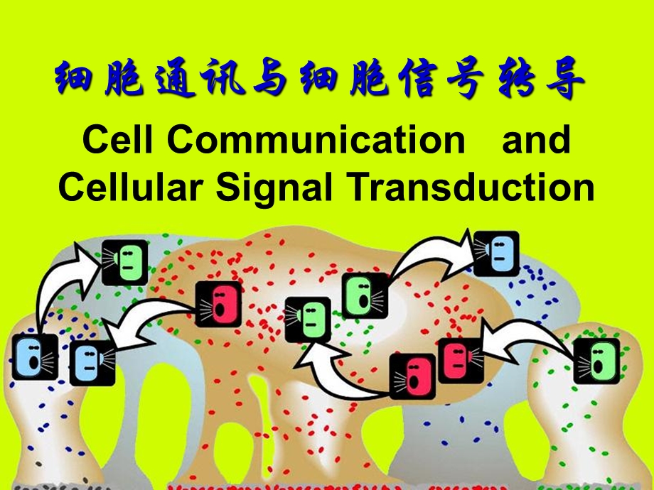 分子生物学-细胞通信.ppt_第1页