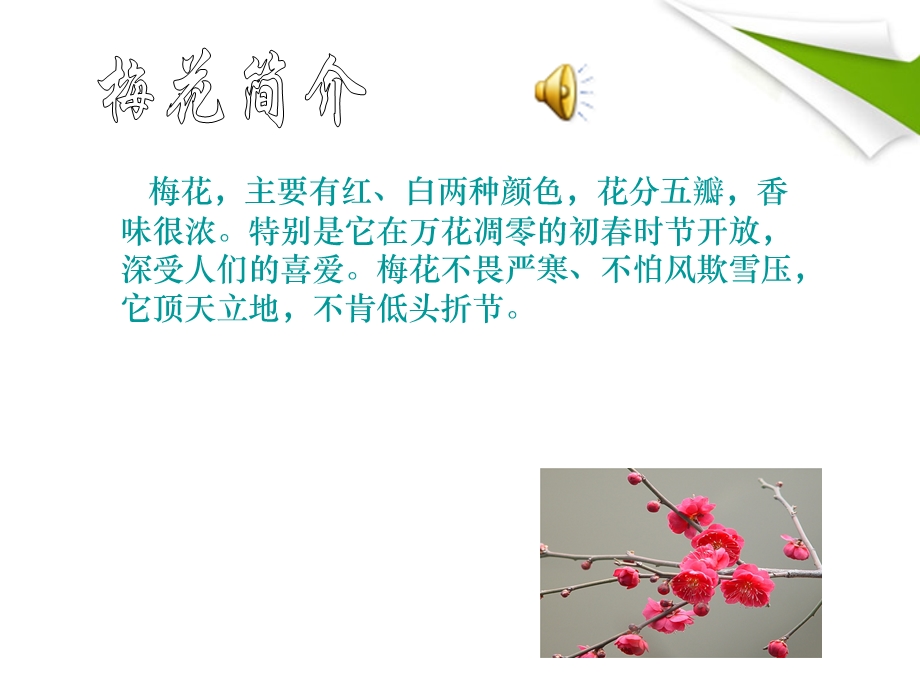 梅花魂课件人教新课件标.ppt_第1页