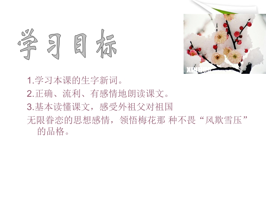 梅花魂课件人教新课件标.ppt_第3页