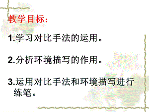 故乡对比及环境.ppt