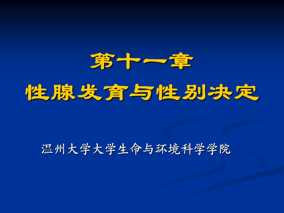 性腺发育与性别决定.ppt_第1页