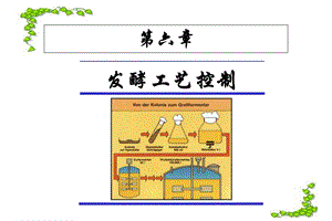 发酵条件及工艺控制.ppt