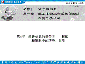 核酸、细胞中的糖类脂质.ppt