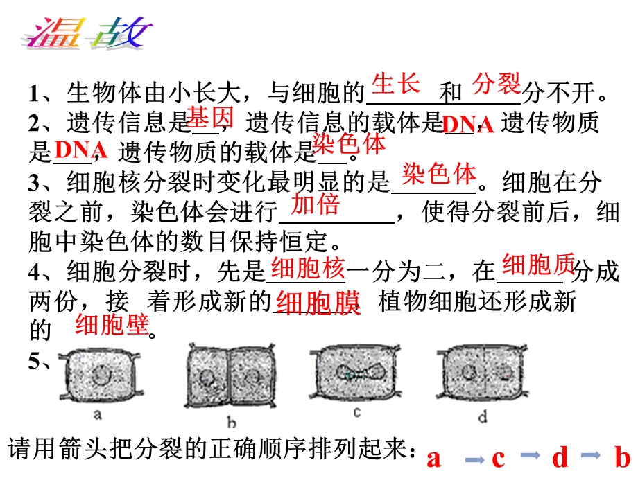 人教版七上第二单元第三章第二节动物体的结构层次共40张PPT.ppt_第2页