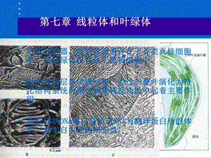 南农细胞生物学.ppt