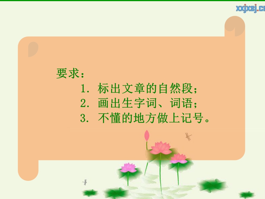 《荷花》教学课件.ppt_第2页