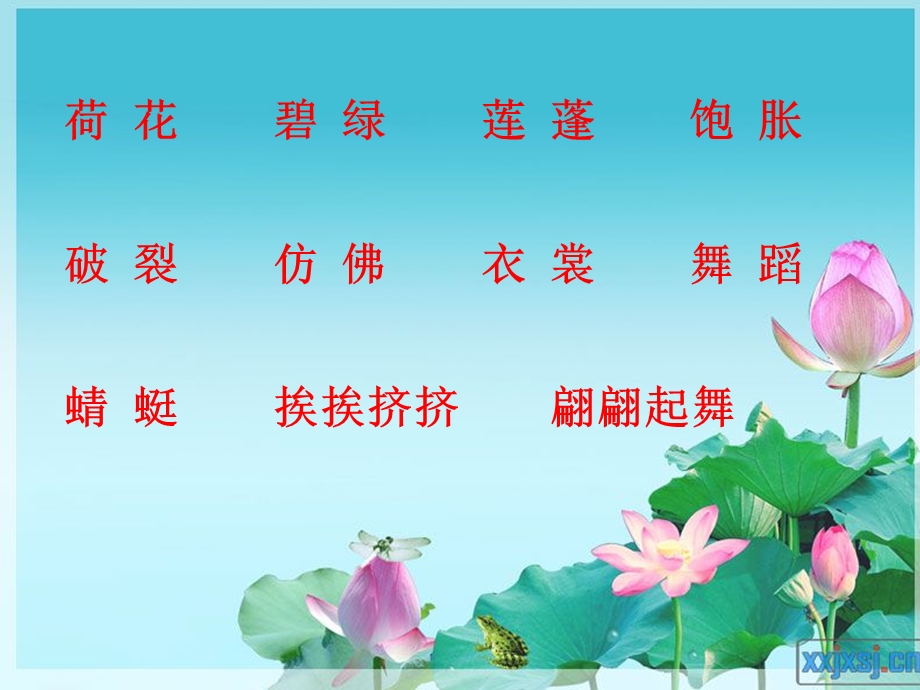 《荷花》教学课件.ppt_第3页