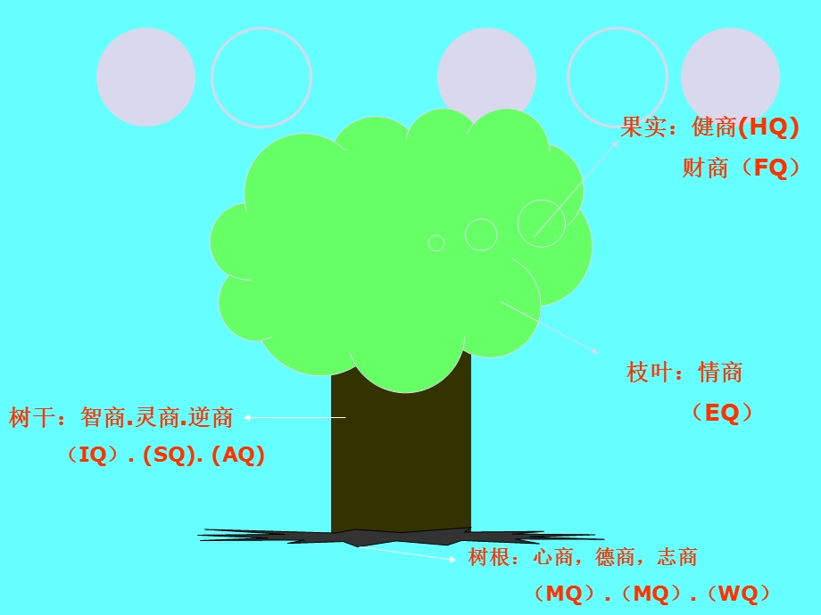 成功源于九商之逆商(AQ).ppt_第3页