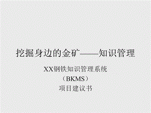 某某钢铁知识管理系统.ppt