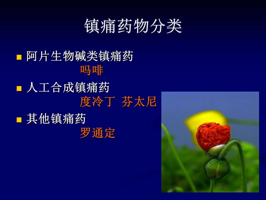 本科镇痛药内部.ppt_第3页