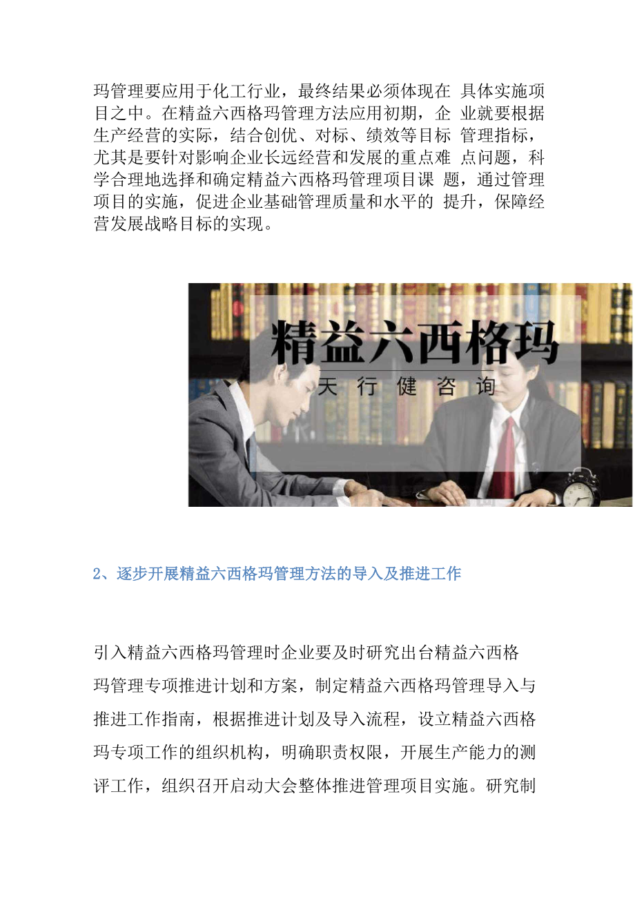 化工行业精益六西格玛运用策略.docx_第2页