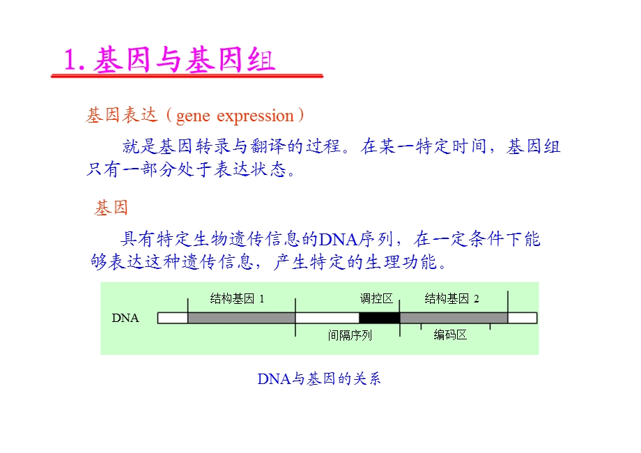 基因表达的调节.ppt_第2页