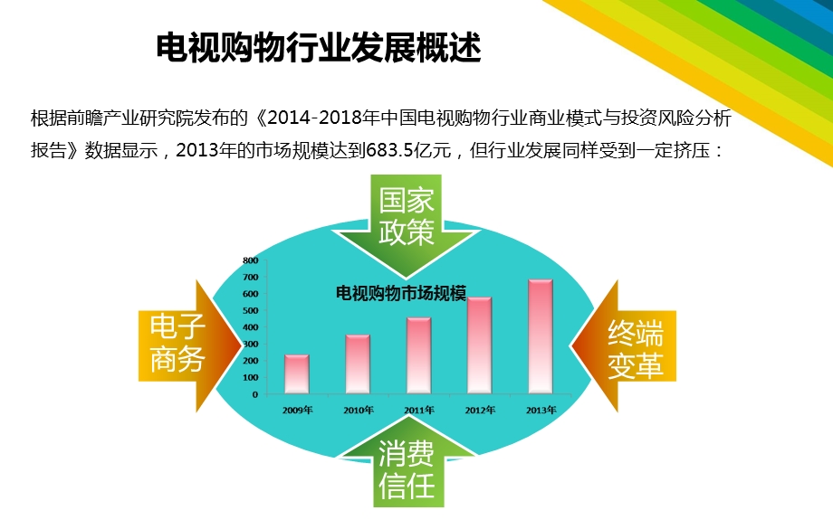 电视购物及电子商务销售提升策划方案.ppt_第3页